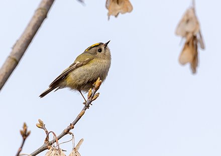 Discover the beautiful nature and surroundings of North Yorkshire