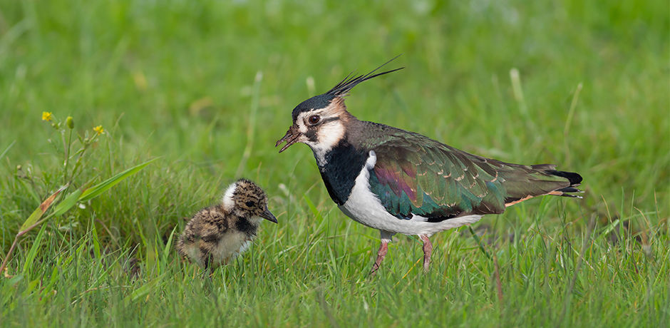 Relax at The Lower Ure Conservation Trust, North Yorkshire