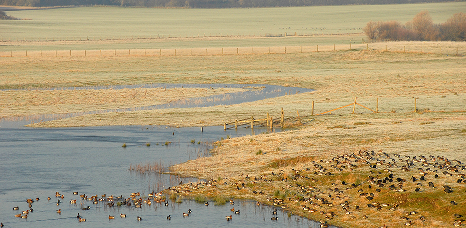 Explore all 150 acres at Nosterfield Nature Reserve, Ripon