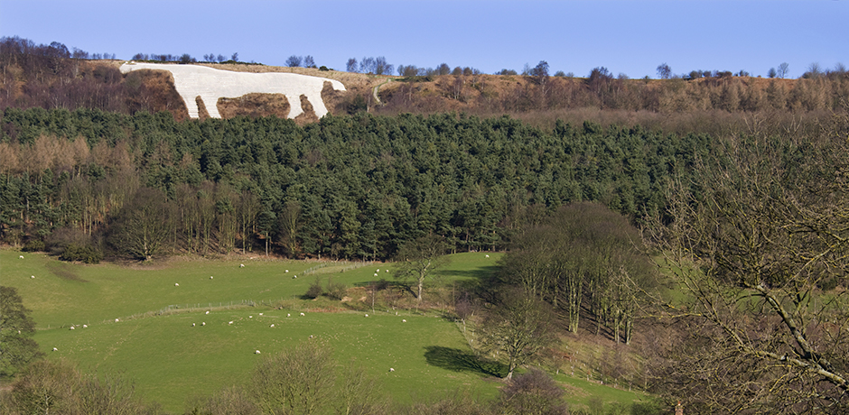 Go for a ramble at the Sutton Bank National Park Centre, Thirsk